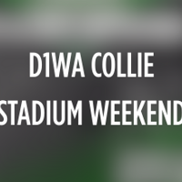 d1wa_collie_stadium_weekend_EGT