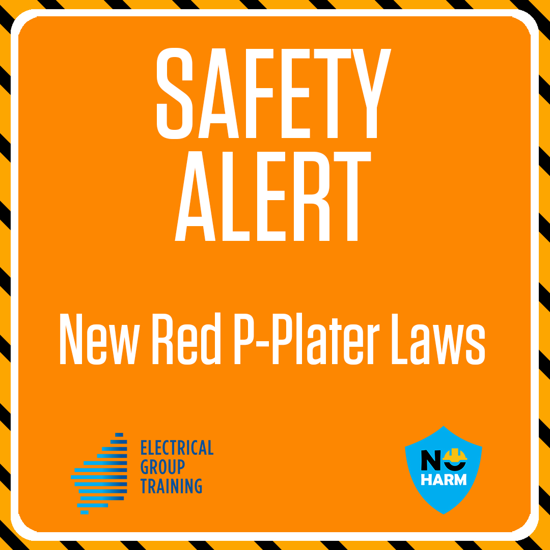 Safety Alert P Platers 061224